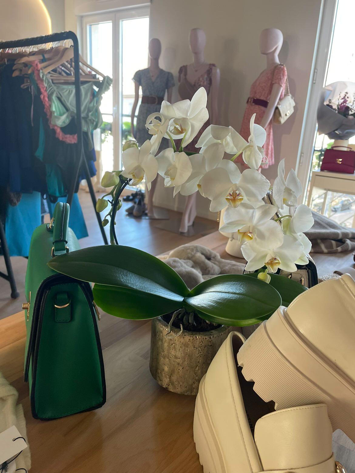 Les Pensées de Sophie | Fleuriste Rixheim - 4